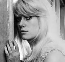 EssentialWILDER EssentialWILDER