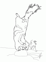 This collection includes mandalas, florals, and more. 10 Pics Of Cuties Coloring Pages Skunk Creative Cuties Coloring Coloring Library