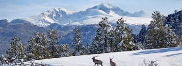 Estes Park Colorado S Best Kept Winter Secret Scott, lars and steve visit st.