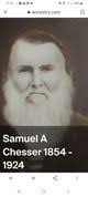 Thomas Tennyson Chesser Sr. (1839-1910)