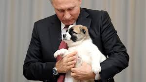Find and save putin doge memes | from instagram, facebook, tumblr, twitter & more. Which Russian Rulers Smooched With Their Pooch Russia Beyond