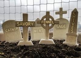 These apps are obviously popular: Custom Graveyard Garden Stake Gothic Home Decor Goth Herb Etsy