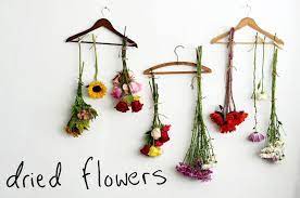 Pour gently, or use your hands. 6 Simple Ways To Save Your Zinnia Flowers Forever Send Flowers In Omaha Free Delivery