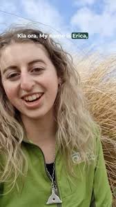 New Zealand's wrens are from an ancient lineage of birds thought to have  been here since we broke away from Gondwana 85 million years ago. Today  only two species remain