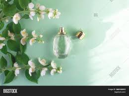 Jasmine flowers are also cultivated commercially, for both industrial and domestic use, including for the likes of perfume. Floral Perfume Jasmine Image Photo Free Trial Bigstock