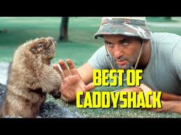 Sharing them will make the gratitude people feel for them even greater. Bill Murray Brothers To Open Caddyshack Bar In Chicago Area Wgn Tv