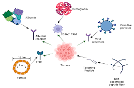 Potential Application of Self-Assembled Peptides and Proteins in Breast  Cancer and Cervical Cancer