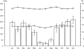 Image result for Globimetula kivuensis