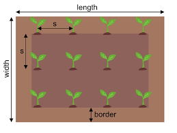Plant Spacing Calculator