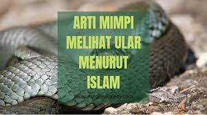 Check spelling or type a new query. Berbagai Macam Arti Mimpi Melihat Ular Blog Nurdin Sikalem