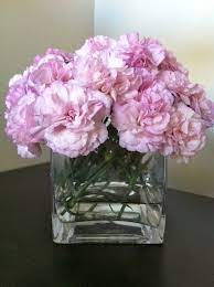 Carnations Flower Display Beautiful Flowers Carnations