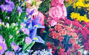 More apple creek flowers, your local woodstock florist, offers professionally designed flower arrangements and gift baskets for all occasions paired with outstanding customer service. Visit Mchenry County Illinois Apple Creek Flowers