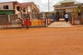 Prophet joshua don first tok say coronavirus go end for march during one church service but as di virus no gree go, di man of god don go mountain to pray. Hkfdg0332wlmsm