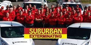 If you have a pest control problem in new york city, ny, then local pest control pros is your #1 solution for exterminator services. Pest Control In Commack New York Suburban