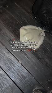 ChefTyFraz (@tylsu13)’s videos with Oh No