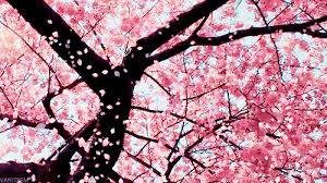 Llll➤ hundreds of beautiful animated spring gifs, images and animations. 5 Seasons S A C H I