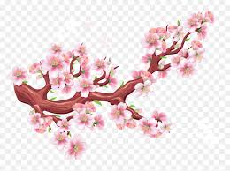 Flower png, transparent png is a hd free transparent png image, which is classified into blue flower png,flower wreath png. Transparent Cherry Blossom Branch Png Gambar Bunga Sakura Vector Png Download Vhv