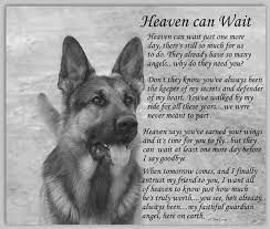 Pin By Walterssallie On Dogs Dying Quotes In 2021 Dog Poems Dog Quotes Heaven Can Wait
