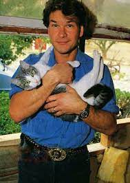 60,199 likes · 896 talking about this. Meggy Bengals And Her Fur Family On Twitter Men With Cats Patrick Swayze Celebrities With Cats