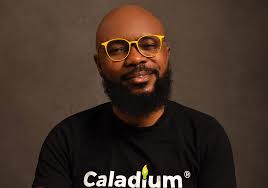 SME Accounting 101: Understanding Gross Profit vs Net Profit