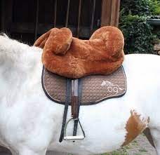 The mattes fellsattel is a popular choice for trail riders due to the above and that it offers much greater security when compared to an english saddle. Mattes Fellsattel Eurofit Gr M In Nordrhein Westfalen Schloss Holte Stukenbrock Ebay Kleinanzeigen
