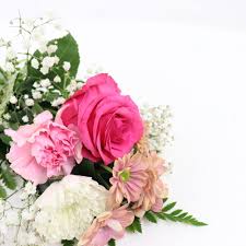 They are sometimes made for scientific purposes (the collection of glass flowers at harvard university, for example, illustrates the flora of the united states). Surprise Little Flowers Flowers Online
