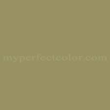 sherwin williams sw1419 spanish olive precisely matched for paint and spray paint sherwin williams paint colors neutral paint color benjamin moore paint sherwin williams sw1419 spanish olive