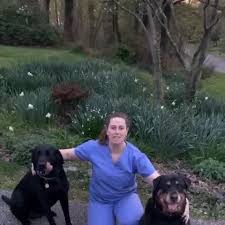 Charleston veterinary referral center is the most advanced and comprehensive small animal referral and emergency hospital in charleston and the southeast. Dogs And Cats Veterinary Referral Er 762 Photos 1 Review Veterinarian 6700 Laurel Bowie Rd Bowie Md 20715