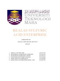 Ghazali bin mat ariff founded ghazali ariff & partners. Realas Ent Business Plan 1 Sulfur Sulfuric Acid