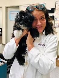 Equine pet on good day sacramento on april 14, 2021, local television morning show good day sacramento visited the uc davis center for equine health. Our Veterinary Team Canyon Country Veterinary Hospital