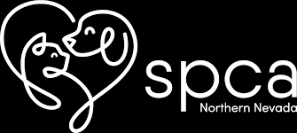 Dog Adoption Spca Of Northern Nevada