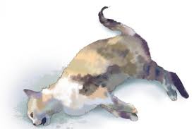 Do animals have a sixth sense when death is near? 7 Cats Found Dead In 12 Days In Yishun Latest Singapore News The New Paper