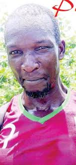 Pure Harmony in Harmony Hall