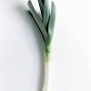 Jul 14, 2020 · microwaving and steaming caused a loss in phenolic content in squash, peas and leeks, but not in spinach, peppers, broccoli or green beans. 3