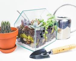 How To Layer Your Open Air Succulent Terrarium Succulent Studios Succulent Care Succulent Studios Succulent Terrarium