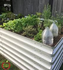 Bac En Tole Pour Potager En Permaculture Ma Passion Du Verger Bac Jardin Potager Pot Jardin