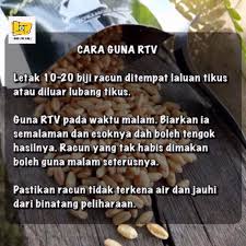 Pembekuan darah menyebabkan tikus mati berdekatan racun. Racun Tikus Victory Rtv Shopee Malaysia