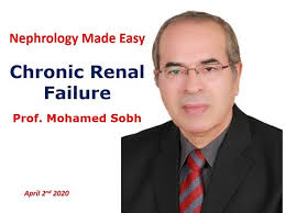 Prof. Mohamed Sobh Presentations