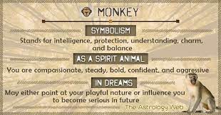 Spirit Animal Monkey Spirit Animal Animal Spirit Guides Dream Meanings