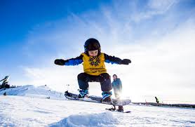 Junior Estandar - Imagen 1