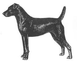 Large macrame wall hanging tapestry wall hanging hanging plant wall hangings bohemian. 260 Elbie Ideas In 2021 Gotcha Day Larry Bird Dogs