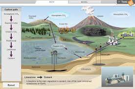 Thanks for contributing an answer to database administrators stack exchange! Carbon Cycle Gizmo Lesson Info Explorelearning