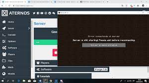 Use ctrl+v to paste the copied ip address into the server address box on windows. My Server Is Offline When I Start It Server Aternos Community