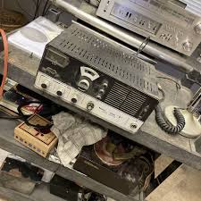 Image result for Teaberry T-Command