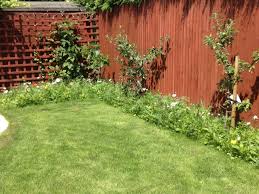Pin By Wildflower Turf On Border Turf Small Garden Garden Design Garden Design Layout