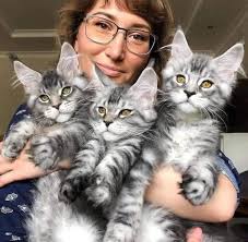 Very true. Be kind to animals ❤