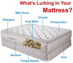 So, cover up your precious mattress with a removable protector and wash it at least once a month to remove dust mites, dead skin and accidental spills and stains. How To Clean A Mattress Maid Brigade Blog