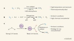 It occurs naturally throughout the environment in the air, soil and water and in plants and animals, including humans. A Fresh Approach To Synthesizing Ammonia From Air And Water
