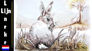 Realistisch Konijn Tekenen Voor Pasen In Stappen Aquarel Potlood Youtube Aquarel Potloden Dieren Tekenen Dingen Om Te Tekenen