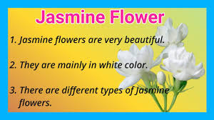 A bunch of flowers sentence. 10 Lines On Jasmine Flower Short Essay On Jasmine Flower Ashwin S World Youtube